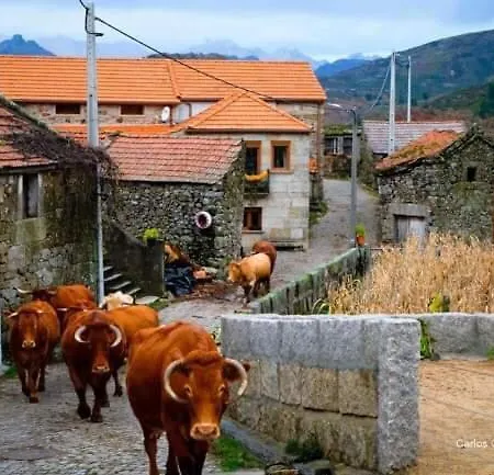 Casa Albelo Do Geres *