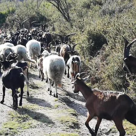 Casa Albelo Do Geres Montalegre