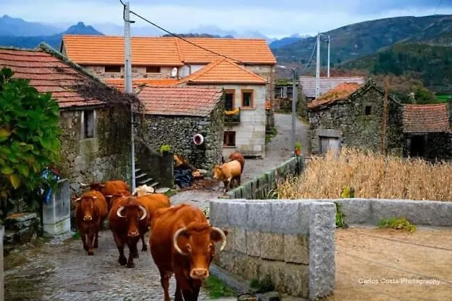 Casa Albelo Do Geres *