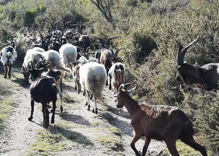 Casa Albelo Do Gerês Montalegre